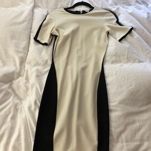 Aritzia Wilfred Dress